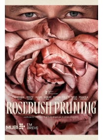 Rosebush Pruning